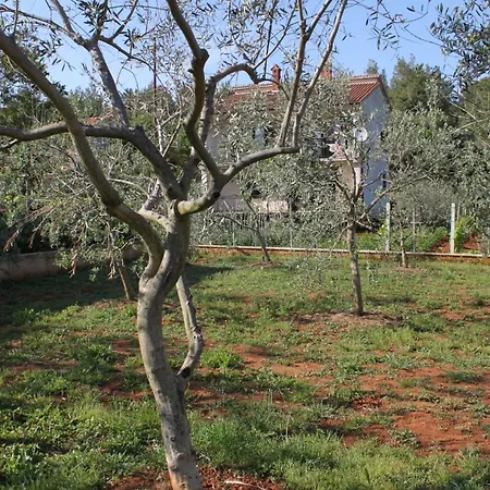 Apartman Apartments With Parking Space Pula - 7646 *